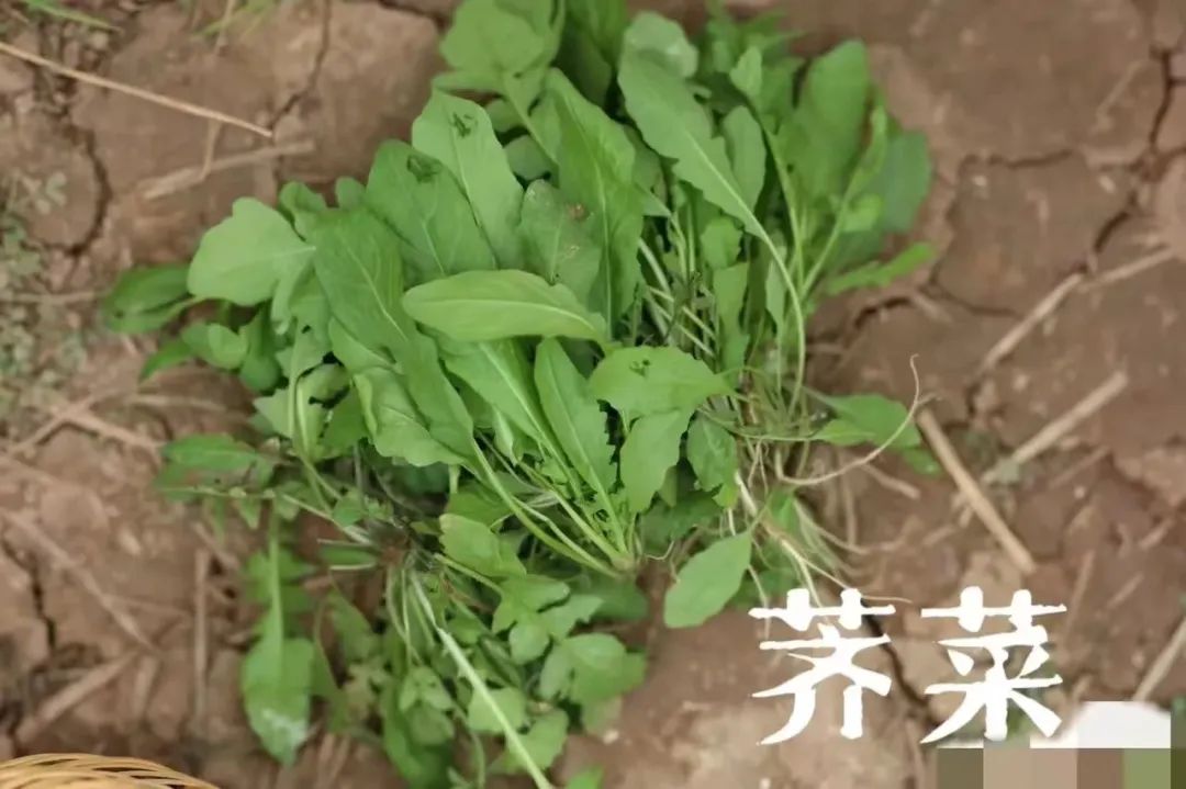 写给微信公众号的建议@微信公众号客服@微信公众号运营团队 写给微信公众号的建议@微信公众号客服@微信公众号运营团队