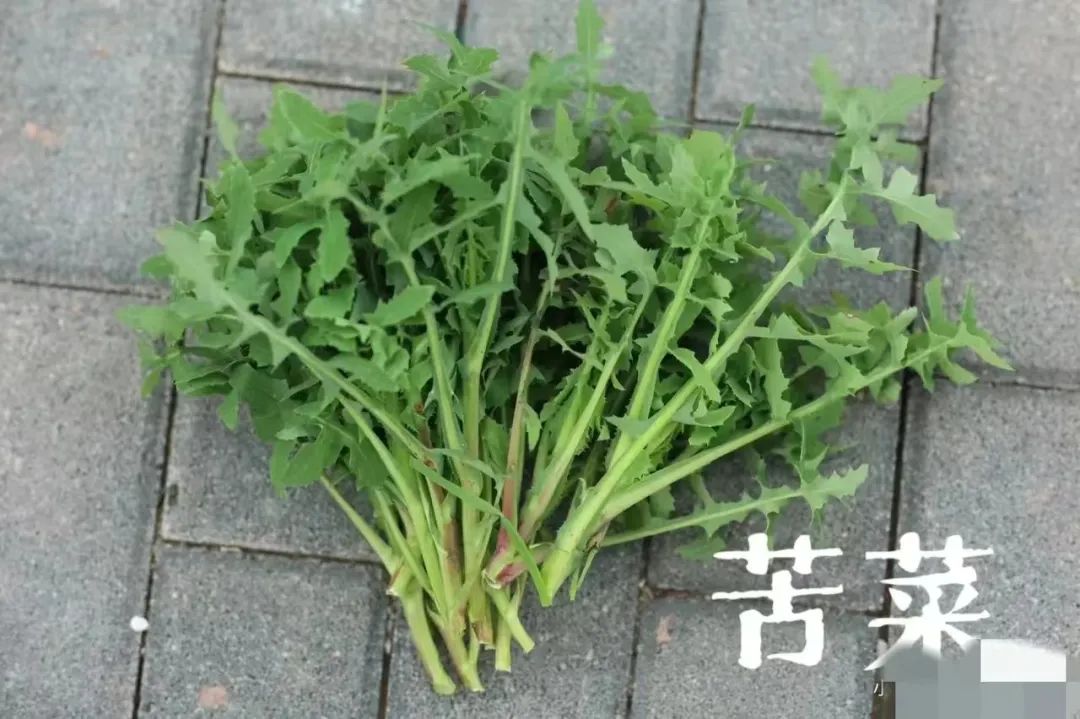 写给微信公众号的建议@微信公众号客服@微信公众号运营团队 写给微信公众号的建议@微信公众号客服@微信公众号运营团队